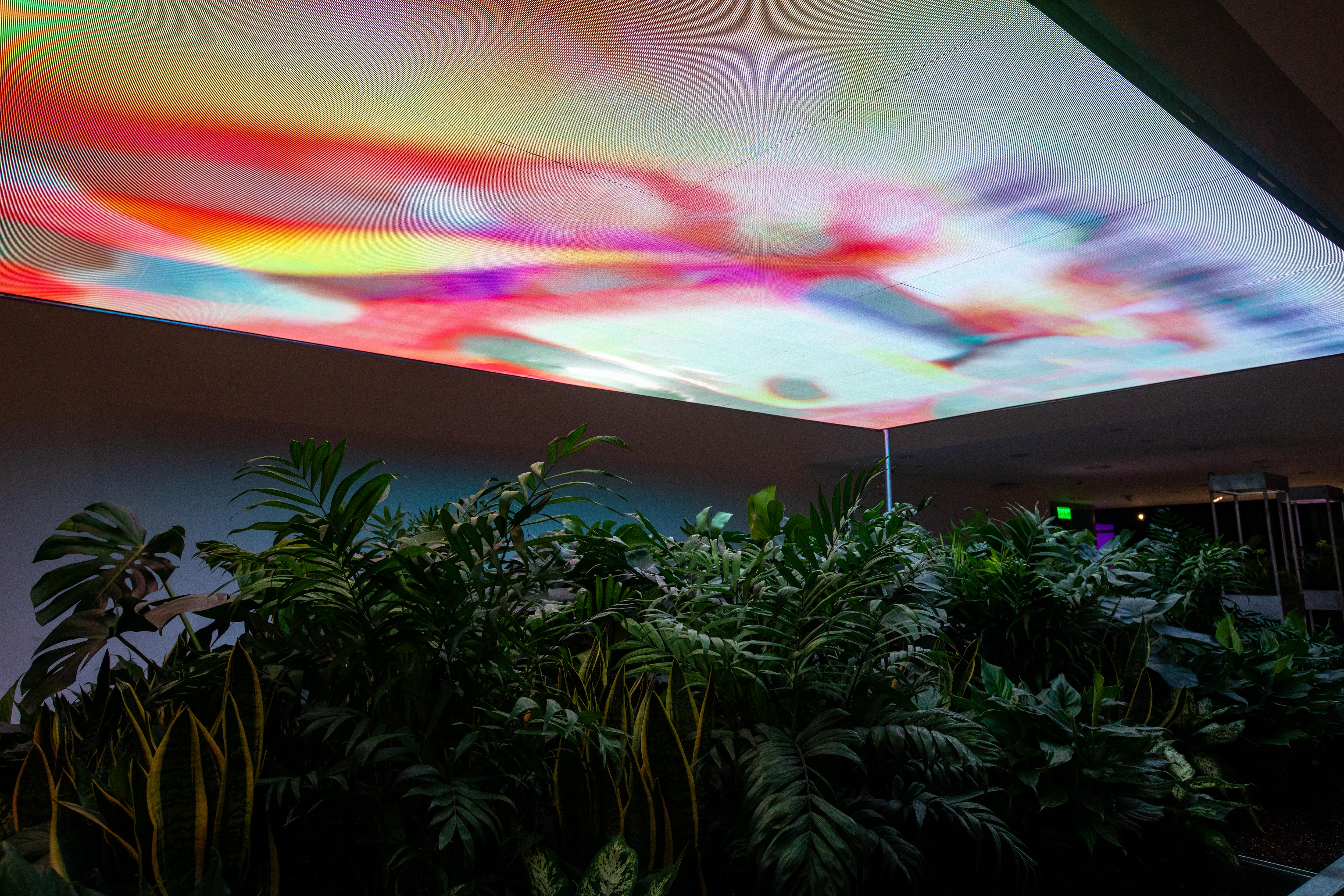 [院校動態] HKDI Gallery 呈獻
「萬物有靈：藝術與科技共生展」